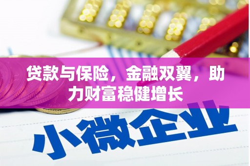连云贷款与保险，金融双翼，助力财富稳健增长