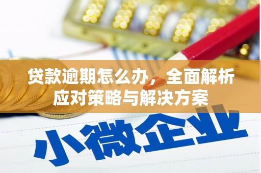 连云贷款逾期怎么办，全面解析应对策略与解决方案