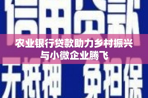 连云农业银行贷款助力乡村振兴与小微企业腾飞