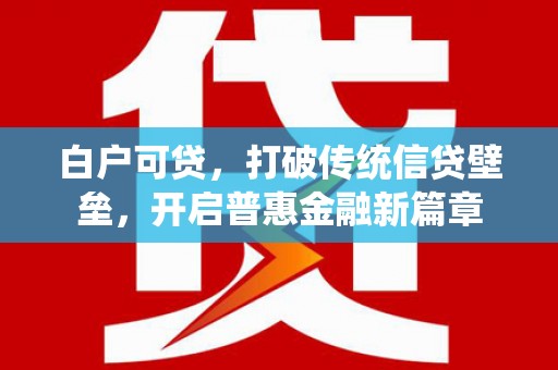 连云白户可贷，打破传统信贷壁垒，开启普惠金融新篇章