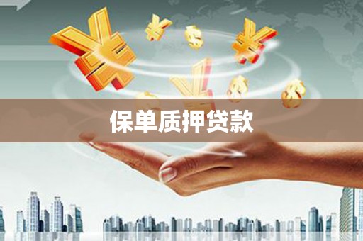 连云保单质押贷款