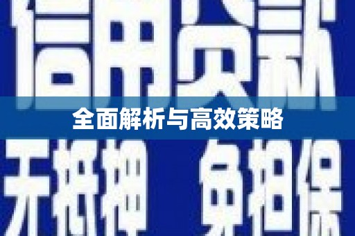 连云全面解析与高效策略
