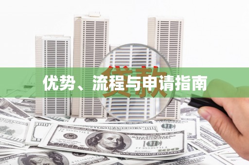 连云优势、流程与申请指南