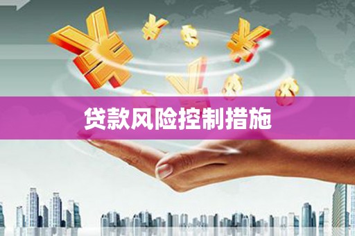 连云贷款风险控制措施