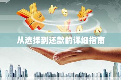 连云从选择到还款的详细指南