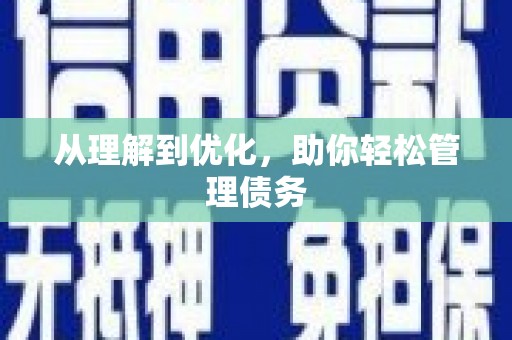 连云从理解到优化，助你轻松管理债务