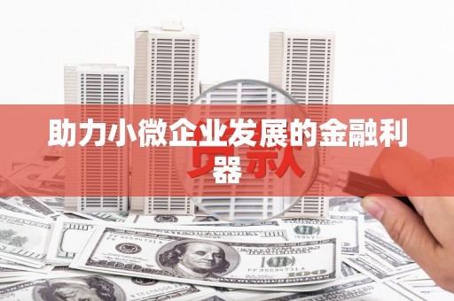连云助力小微企业发展的金融利器