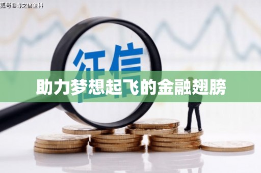 连云助力梦想起飞的金融翅膀