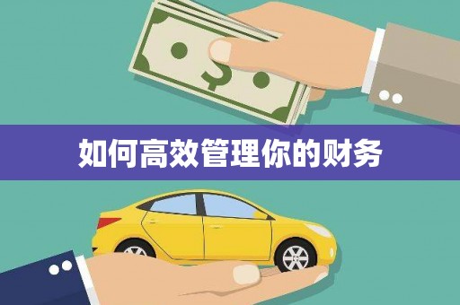 连云如何高效管理你的财务