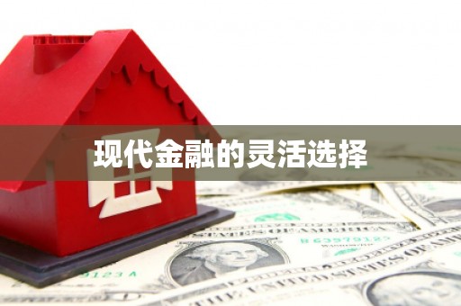 连云现代金融的灵活选择