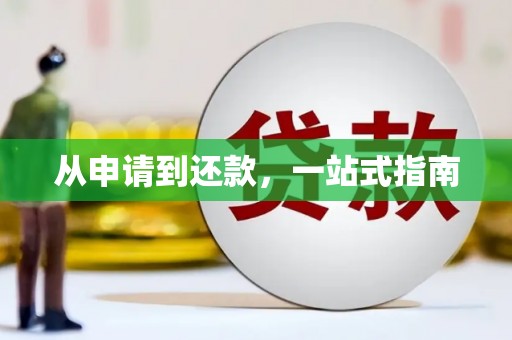 连云从申请到还款，一站式指南