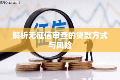 连云解析无征信审查的贷款方式与风险