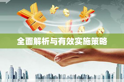 连云全面解析与有效实施策略