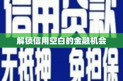 连云解锁信用空白的金融机会