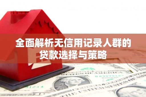 连云全面解析无信用记录人群的贷款选择与策略