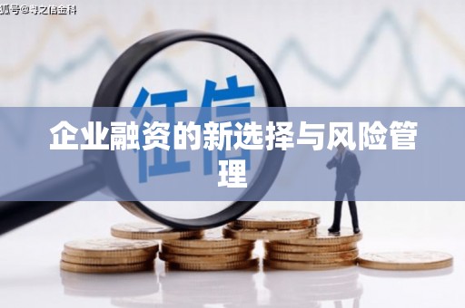 连云企业融资的新选择与风险管理