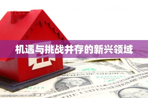 连云机遇与挑战并存的新兴领域