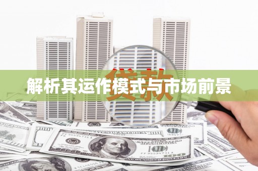 连云解析其运作模式与市场前景