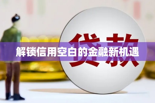 连云解锁信用空白的金融新机遇