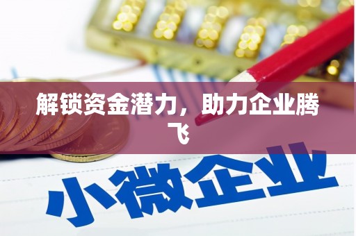 连云解锁资金潜力，助力企业腾飞