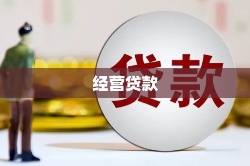 连云经营贷款