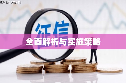连云全面解析与实施策略