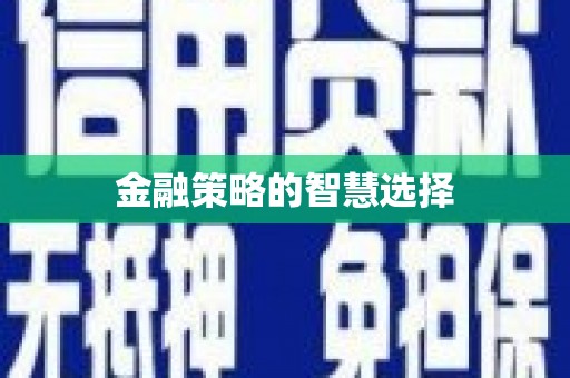 连云金融策略的智慧选择