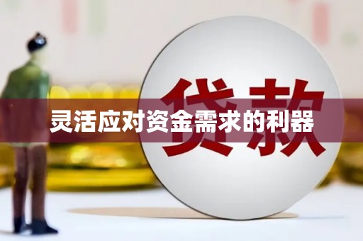 连云灵活应对资金需求的利器
