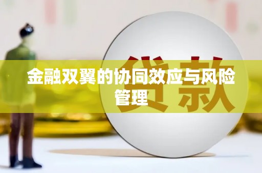 连云金融双翼的协同效应与风险管理