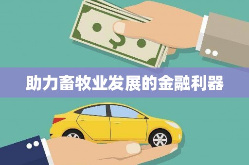 连云助力畜牧业发展的金融利器