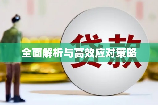 连云全面解析与高效应对策略
