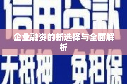 连云企业融资的新选择与全面解析