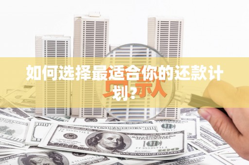 连云如何选择最适合你的还款计划？