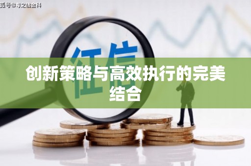 连云创新策略与高效执行的完美结合