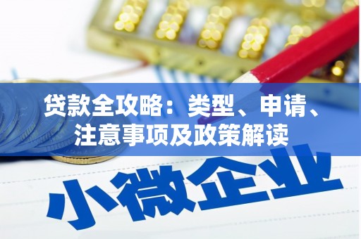 连云贷款全攻略：类型、申请、注意事项及政策解读