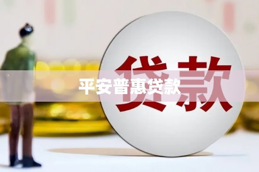 连云平安普惠贷款