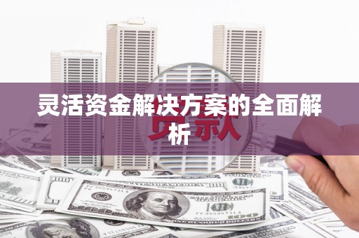 连云灵活资金解决方案的全面解析