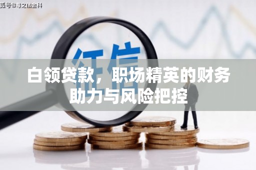 连云白领贷款，职场精英的财务助力与风险把控