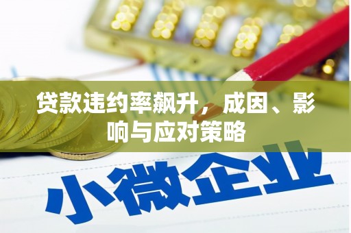 连云贷款违约率飙升，成因、影响与应对策略